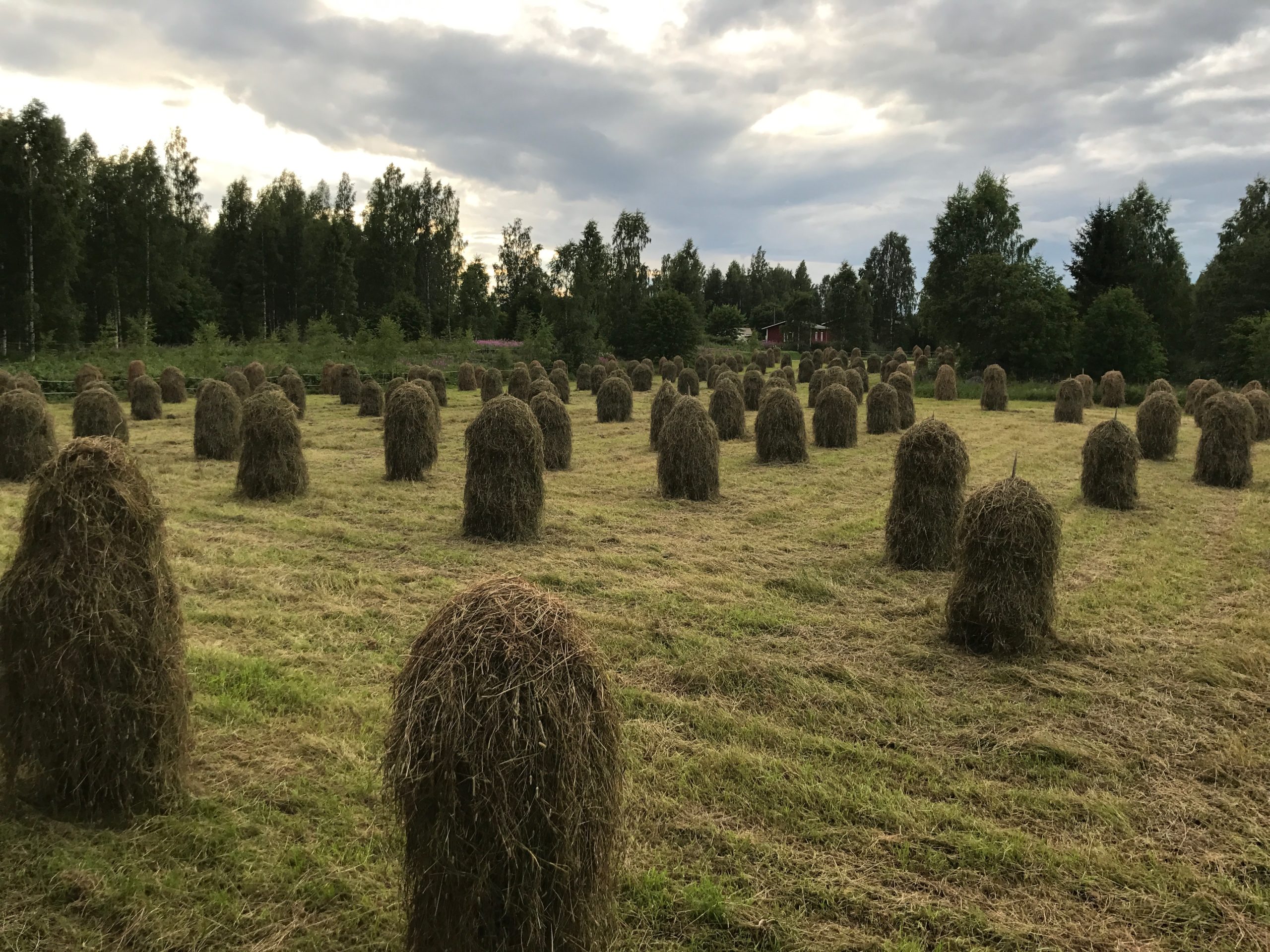 Read more about the article Työllistämisen kuntalisä haettavissa!