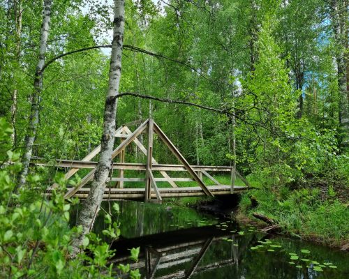 Asinsilta. Kylältä Asinjoen laavulle ja siitä Suolammen partiomajalle. Matka patikoiden n 8-9 km suuntaansa. Kuva: Päivi Lindi.